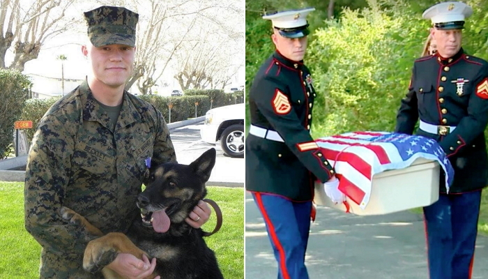 영웅 ‘군견’ 죽음 기리려 장례식 치뤄준 군인