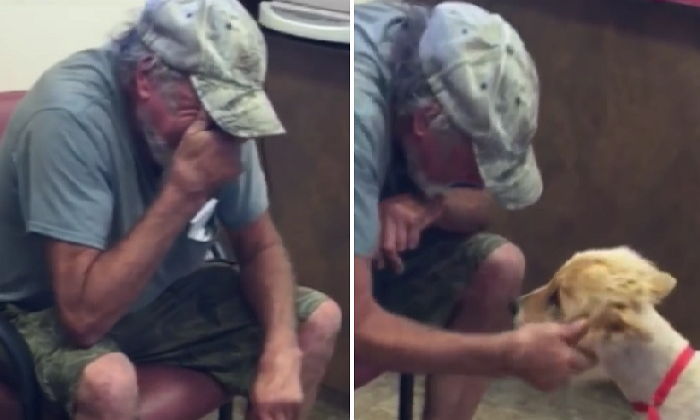 실종 후 뼈만 남은 채 돌아온 반려견 보고 오열한 주인 (영상)