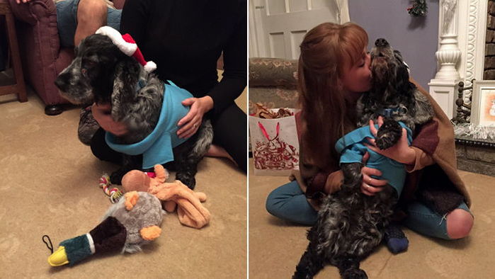 5년 투병생활 끝에 ‘마지막 파티’ 열고 세상 떠난 반려견