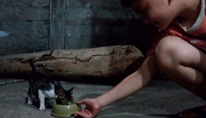 길거리서 구조한 동물 위해 ‘보호소’ 차린 9살 소년