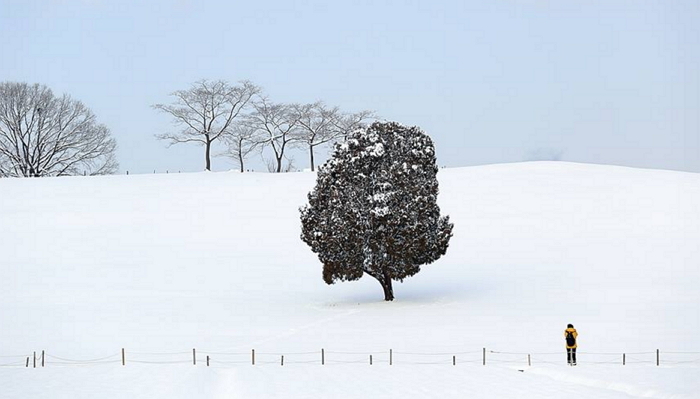 연인과 로맨틱한 추억 만들로 가야할 올림픽공원 설경 8