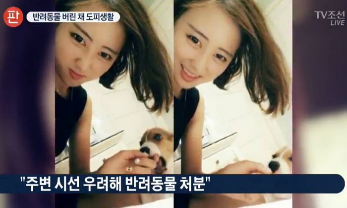 정유라, 아끼던 반려동물까지 버리고 ‘도피 생활’ 중