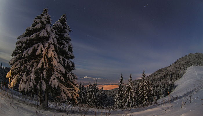 ‘별자리’로 알아보는 당신의 1월 첫째주 운세