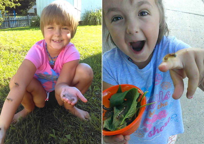 곤충 좋아해 ‘왕따’ 당한 소녀에게 전세계 곤충학자들이 보인 반응