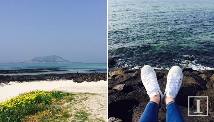 제주항공, 내일(4일) 제주행 항공권 편도 ‘7,900원’에 판매