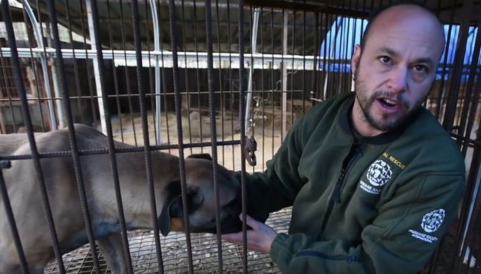 따뜻한 사람 손길에 꼬리 흔드는 개고기 농장 식용견 (영상)