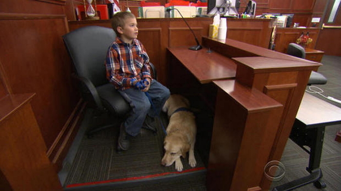 법정서 피해 아동 도와주는 ‘범죄수사관’ 강아지