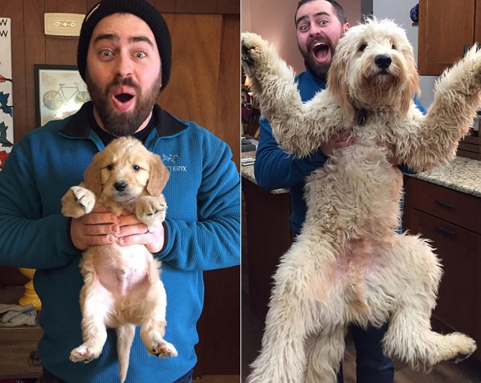 “앙증맞던 우리집 강아지가 1년 만에 ‘폭풍 성장’ 했어요”