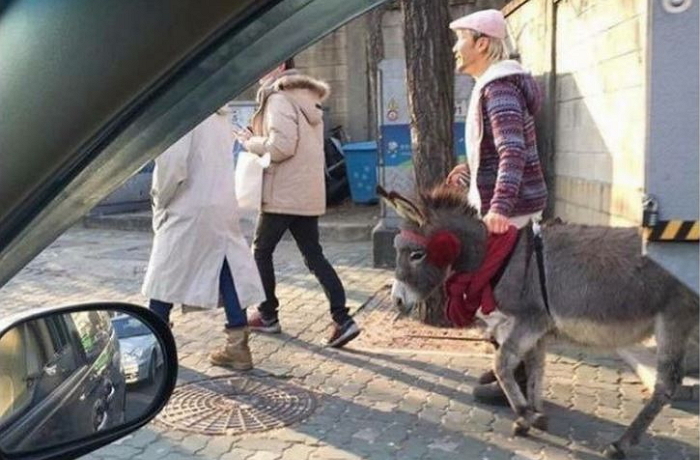 ‘당나귀’ 분양 받아 직접 키우고 있다는 노홍철 근황 (사진)