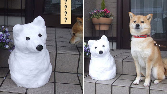 폭설 내리자 외로운 반려견에게 여친(?) 선물한 주인