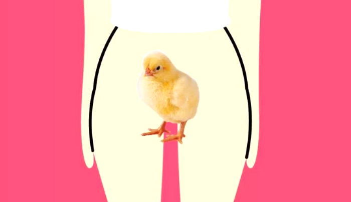 인사이트