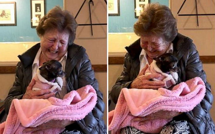 11년 키운 반려견 죽자 유기견 입양한 할머니의 ‘행복’ 미소