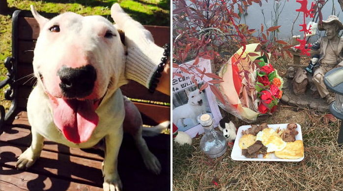 이웃 주민에게 잡아먹힌 반려견 ‘순대’ 두 번째 생일 축하한 주인