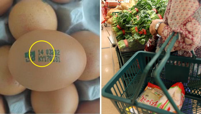 AI 이후 엄마가 마트에서 ‘14번’ 적힌 달걀만 찾는 이유