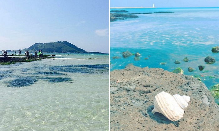 이스타항공, 7일까지 제주행 항공권 단돈 ‘1만 4900원’