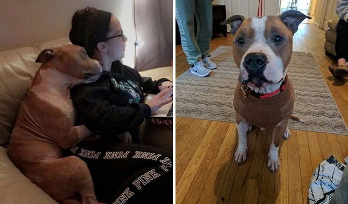 보호소서 입양된 후 엄마 팔에서 떨어지지 않는 강아지