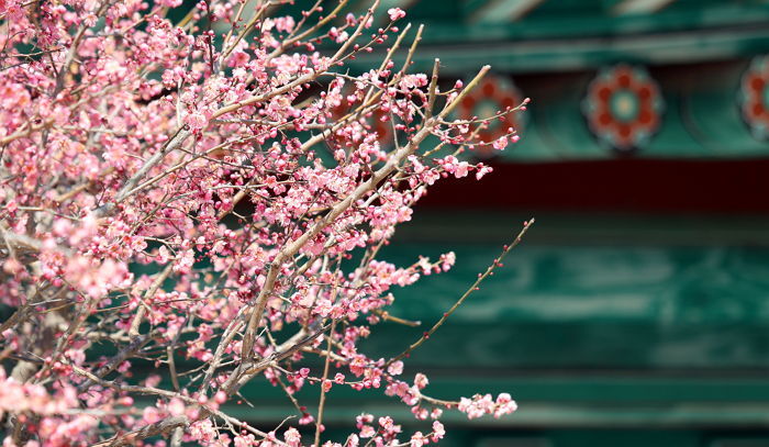 16일 최고기온 ‘16도’ 오늘보다 따뜻…“오후에 비내려요”