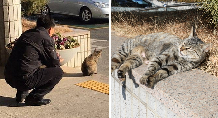 추위 피해 밤낮없이 찾아오는 ‘길냥이’ 가족으로 들인 경찰
