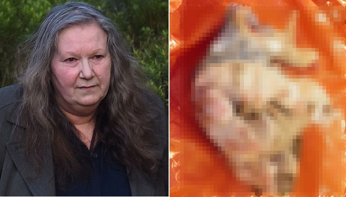 혈통 나쁘다고 8마리 강아지 ‘냉동실’에 얼려죽인 여성