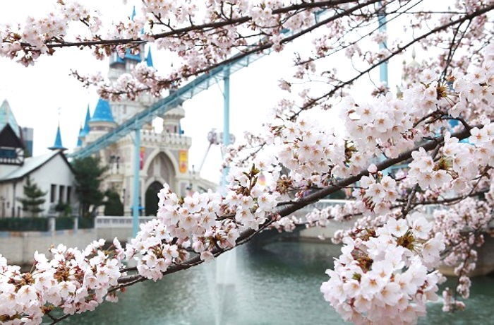 내일(23일) 전국 맑고 포근한 봄 날씨…일부 지역 비소식