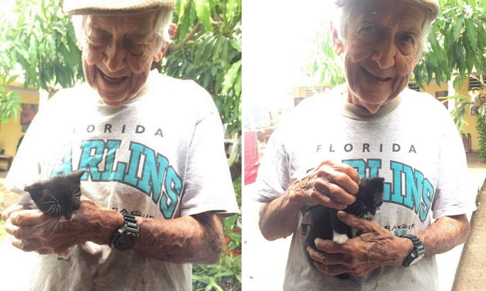 집에서 몰래 ‘길냥이’ 키우다 아내 허락 받은 할아버지