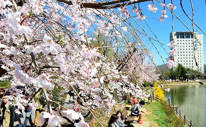 내일 날씨, 전국 대체로 맑고 포근…미세먼지 ‘나쁨’