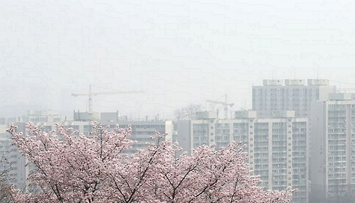 오늘(4일) 전국 맑고 포근해요···“낮 최고기온 23도”