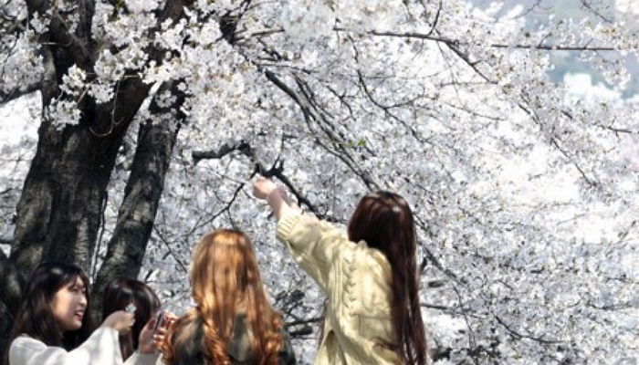 오늘(7일)은 따뜻한 ‘봄날’…낮 최고기온 25도