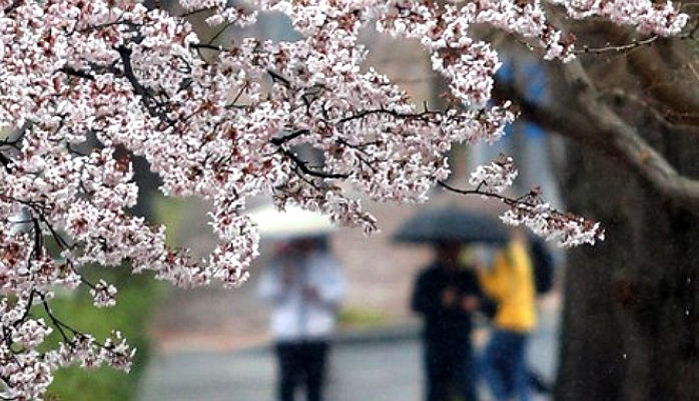 오늘 날씨, 전국 흐리지만 포근…일부 지역 ‘빗방울’