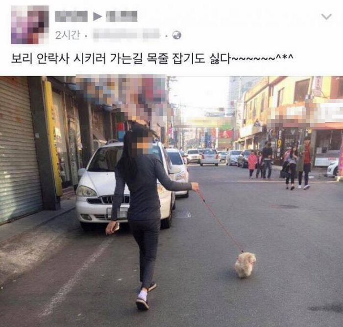 반려견 목줄 잡고 “안락사 시키러 가는 길” 주인 논란