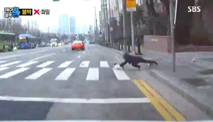 차도에 뛰어든 반려견 지키려고 몸 던진 주인 (영상)