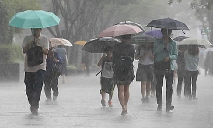 수요일(10일) 전국 흐리고 10mm 안팎 비…미세먼지 씻겨 간다