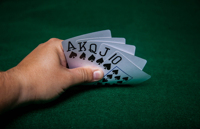 “마약한 연예인 용서하자”며 누리꾼이 올린 황당한 글