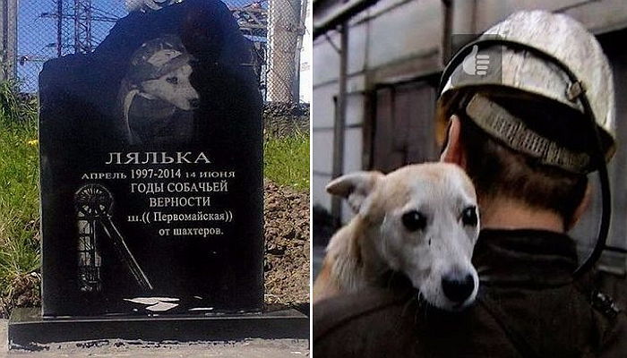 17년간 광산 따라다니던 유기견 죽자 ‘무덤’ 만들어준 광부들