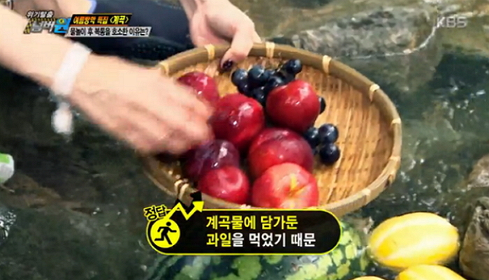 피서가서 계곡물에 과일을 담가놓으면 절대 안 되는 이유