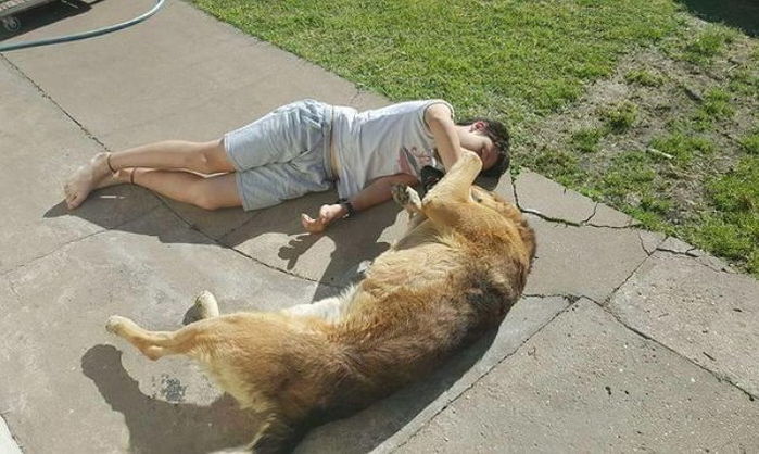 ‘8개월’ 만에 잃어버렸던 반려견 찾고 주저앉아 오열한 소년 (영상)