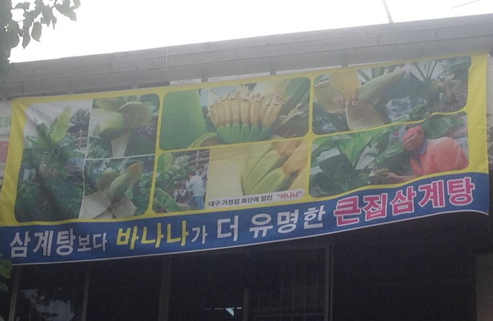 현수막까지 내건 ‘대프리카 바나나 열린 집’ 근황