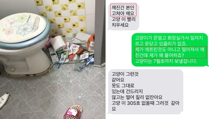 화장실 고쳐주기 싫어 “고양이가 박살냈다”고 생떼 쓰는 집주인