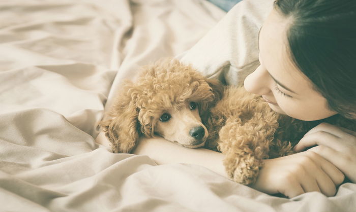 주인이 만지면 동물이 ‘좋아하는 부위’＆‘싫어하는 부위’