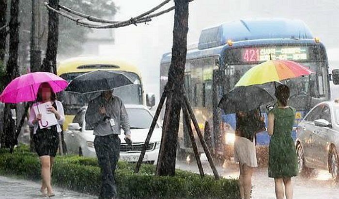 오늘(2일)부터 전국 장마 시작···“최대 250㎜ 폭우”