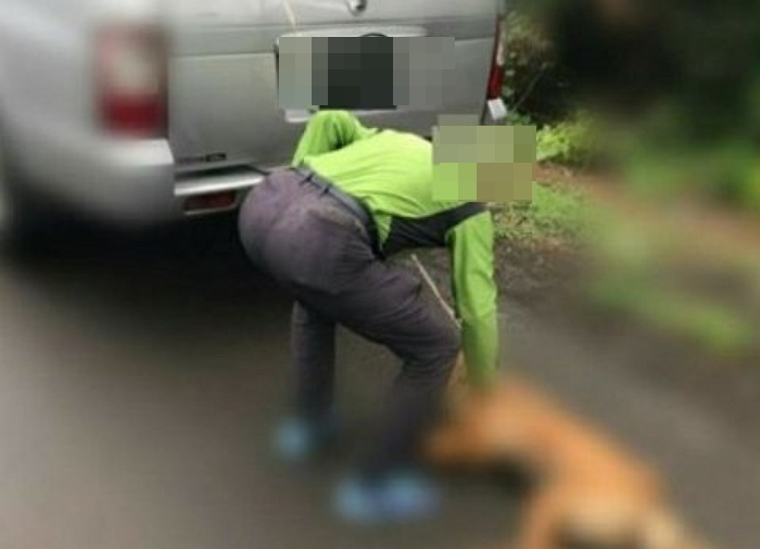 “운동시킨다”며 차에 반려견 묶고 끌고 다닌 남성