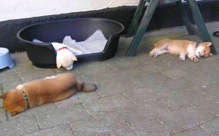 이번주 대프리카 ‘36도’까지 치솟으며 펄펄 끓는다