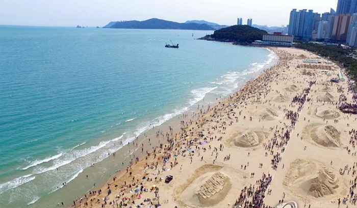 해수욕장에서 보면 바로 도망가야 하는 ‘해양생물’ 5종