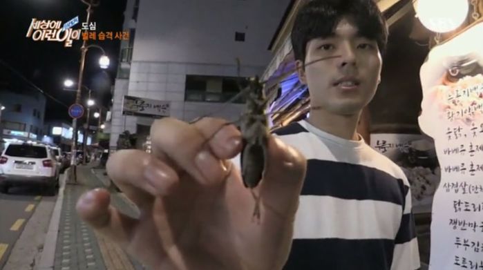 서울 뒤덮은 ‘손가락만 한 벌레’ 때문에 ‘공포’에 떠는 시민들 (영상)