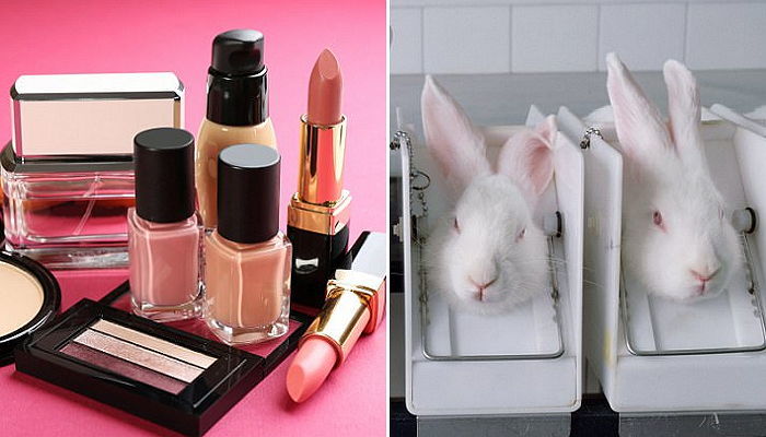 화장품 ‘독성 테스트’에 쓰이고 무참히 버려지는 동물들