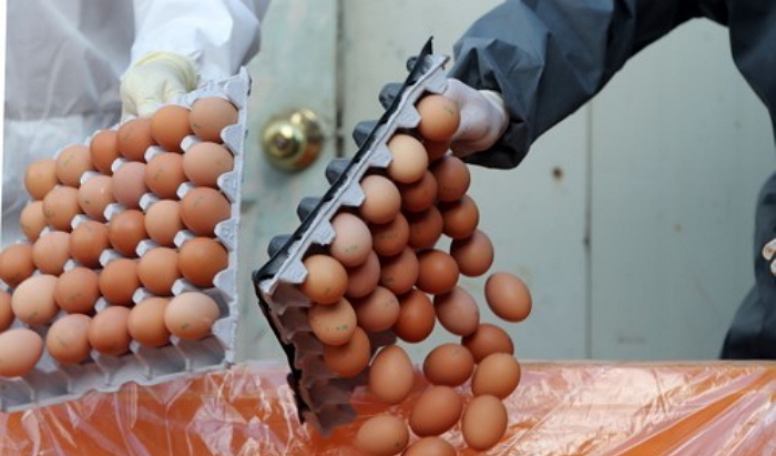 “달걀 껍질에 ‘이렇게’ 찍혀 있으면 절대 먹지 마세요”