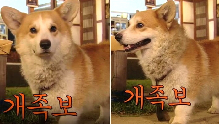 강제로 1살 더 먹은 ‘빠른’ 년생 만이 공감하는 6가지