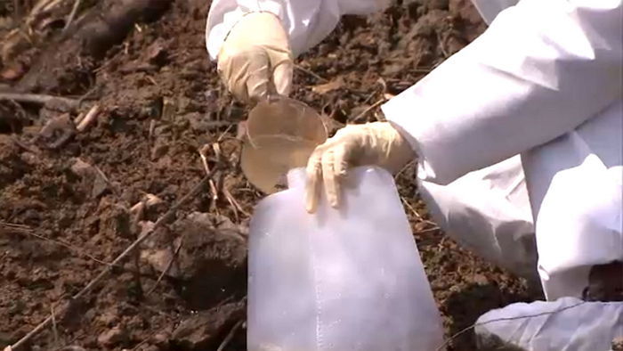 ‘집단 암’ 발병한 익산시 장점마을...지하수에서 발암 물질 ‘타르’ 성분 검출
