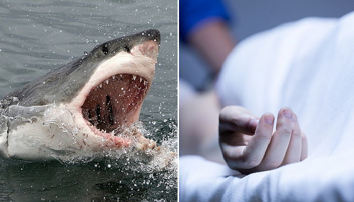 상어보다 더 많은 사람을 죽인 끔찍한 ‘살인 식물’의 정체