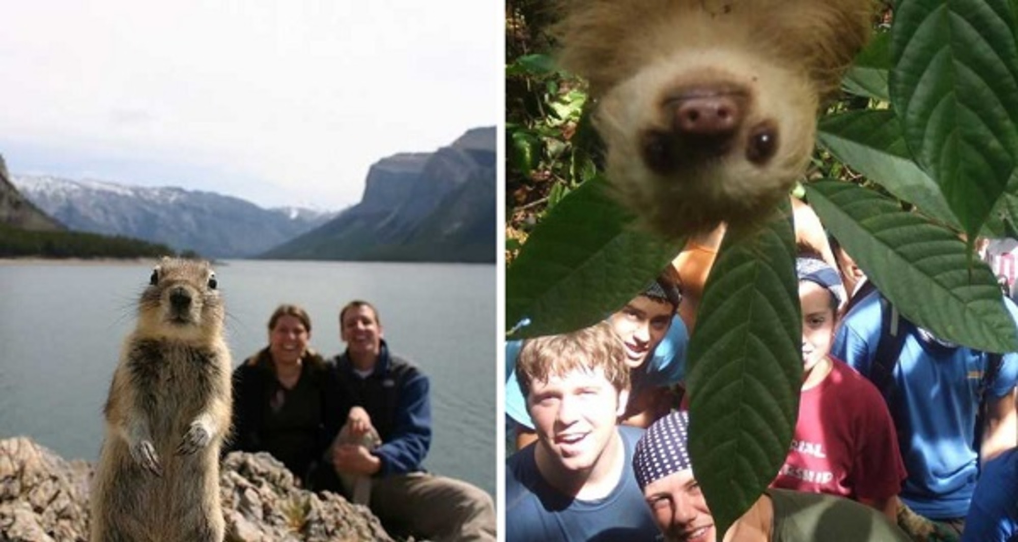 These Animal Photobombs Are So Hilarious, They’re Going To Make Your Day